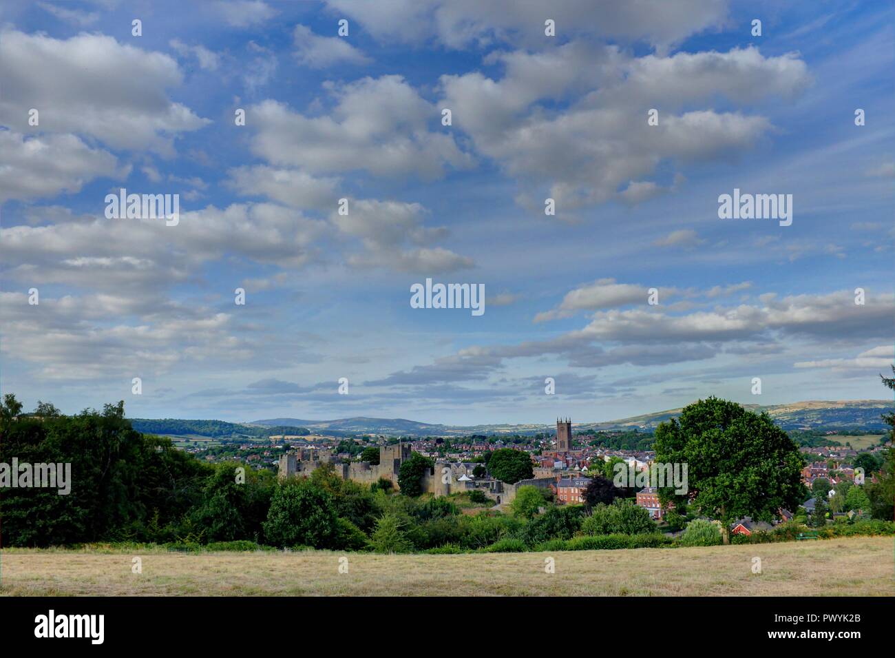 Visuale grandangolare di Ludlow Foto Stock