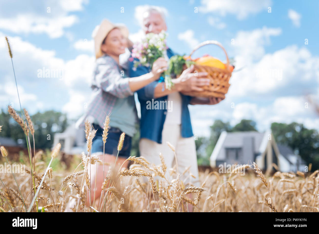 Trasmissione via IR di amare giovane in piedi al centro del campo di grano sul giorno di estate Foto Stock