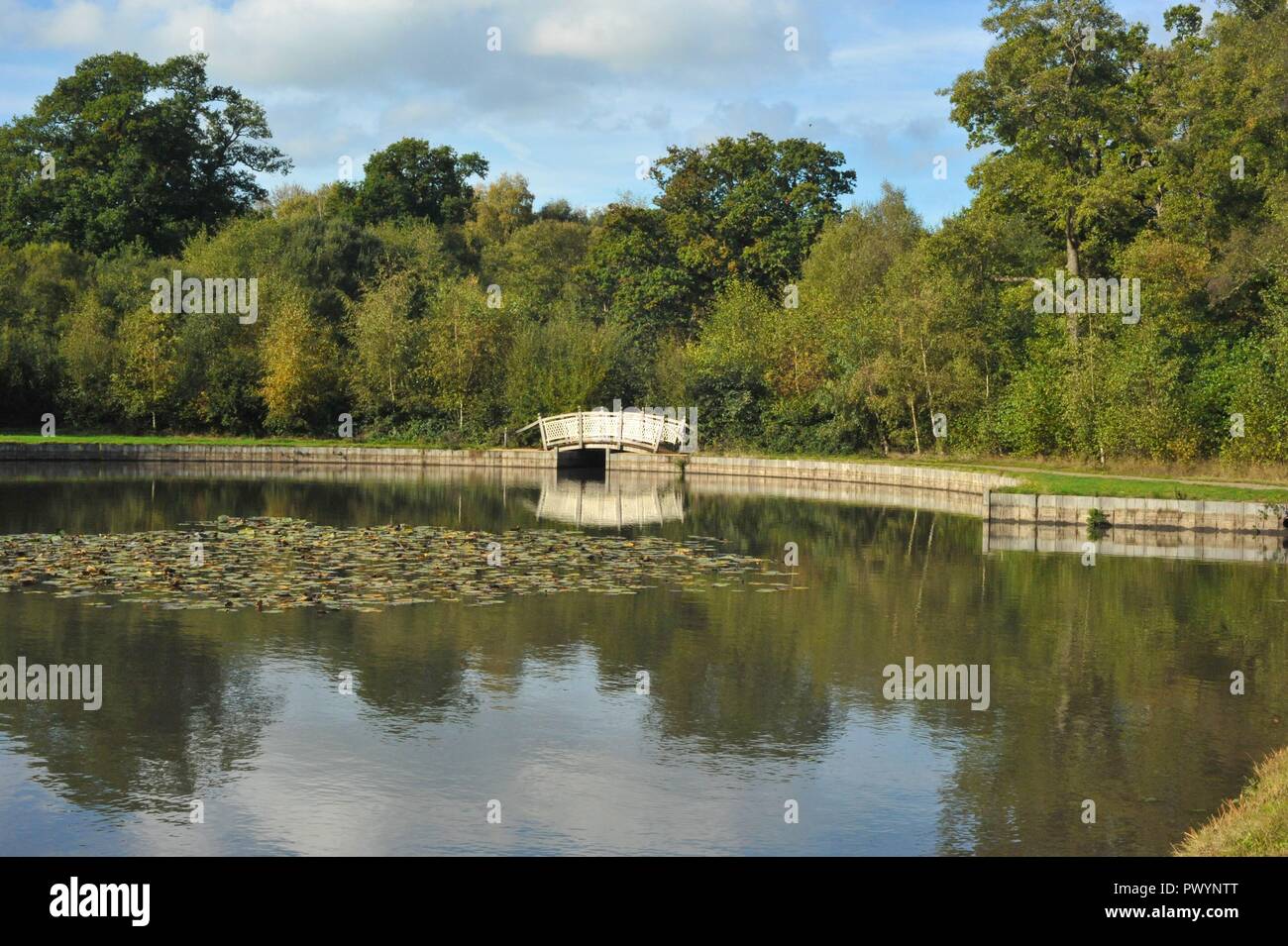 Laghetto di vacca, Saville Gardens Windsor Foto Stock