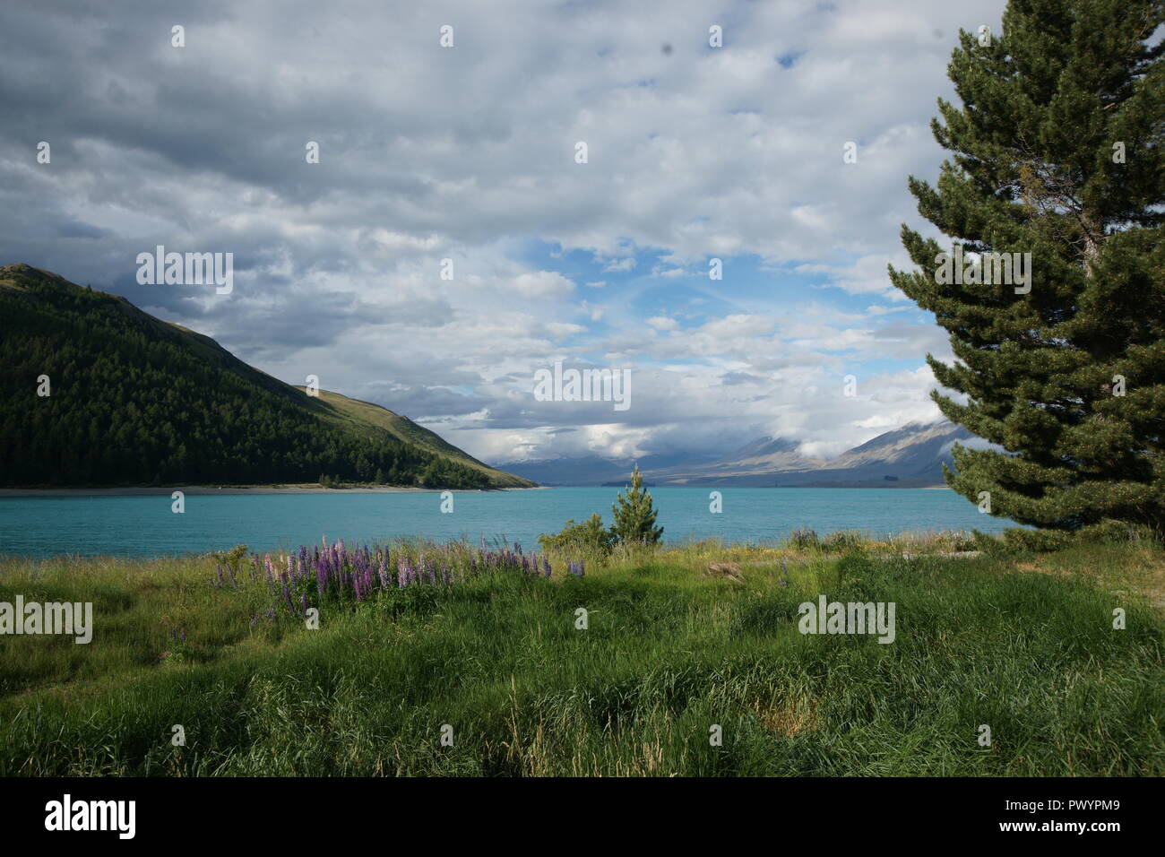 Lago Tekapo Nuova Zelanda Canterbury Foto Stock