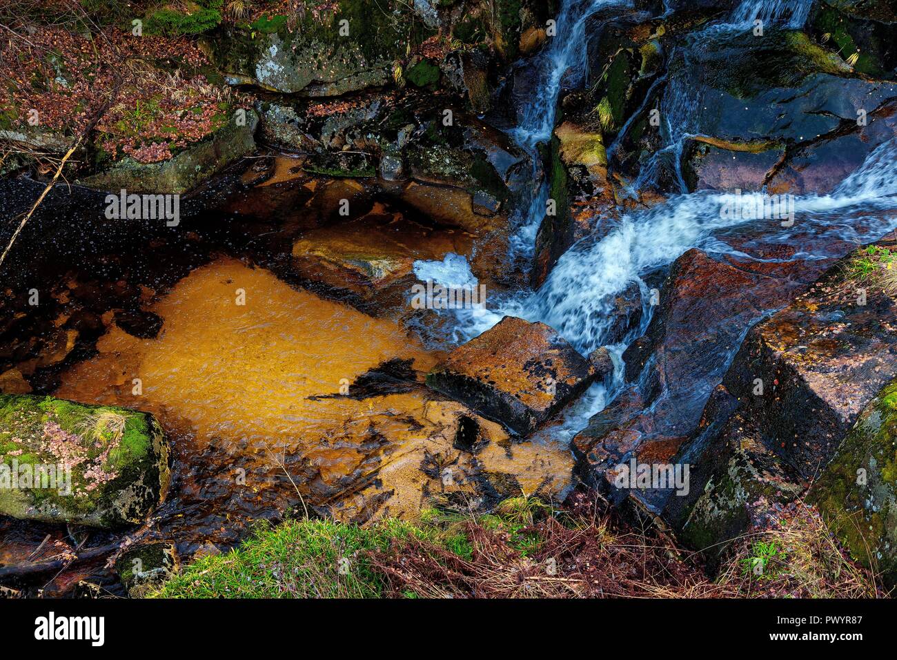 Ruscello di montagna e stagno Foto Stock