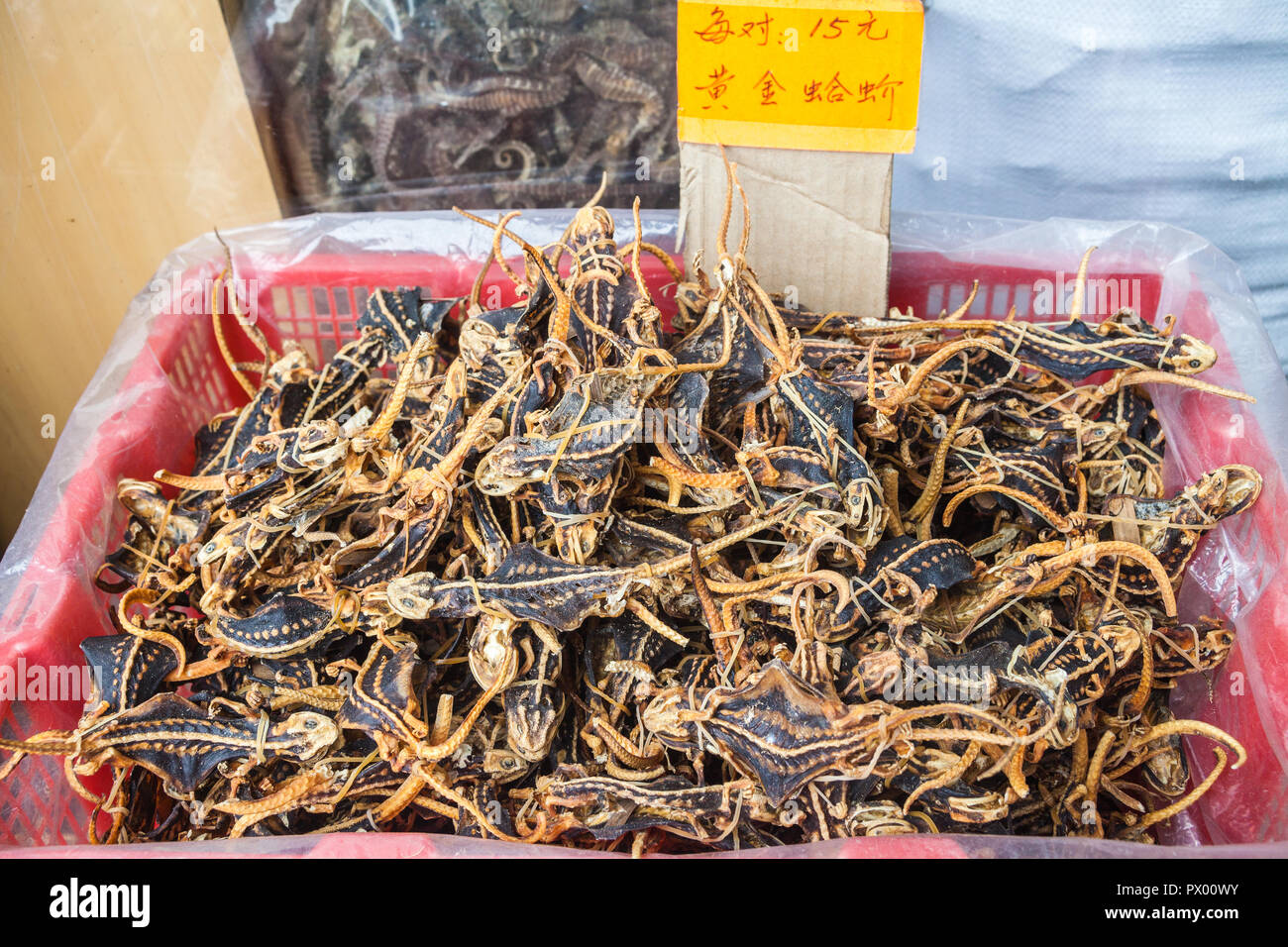 Essiccato lucertole in stallo del mercato di Hong Kong Foto Stock