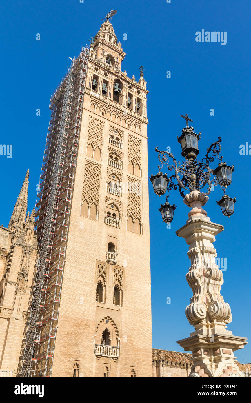 La Giralda Torre Campanaria, Siviglia, Andalusia, Spagna, Europa Foto Stock