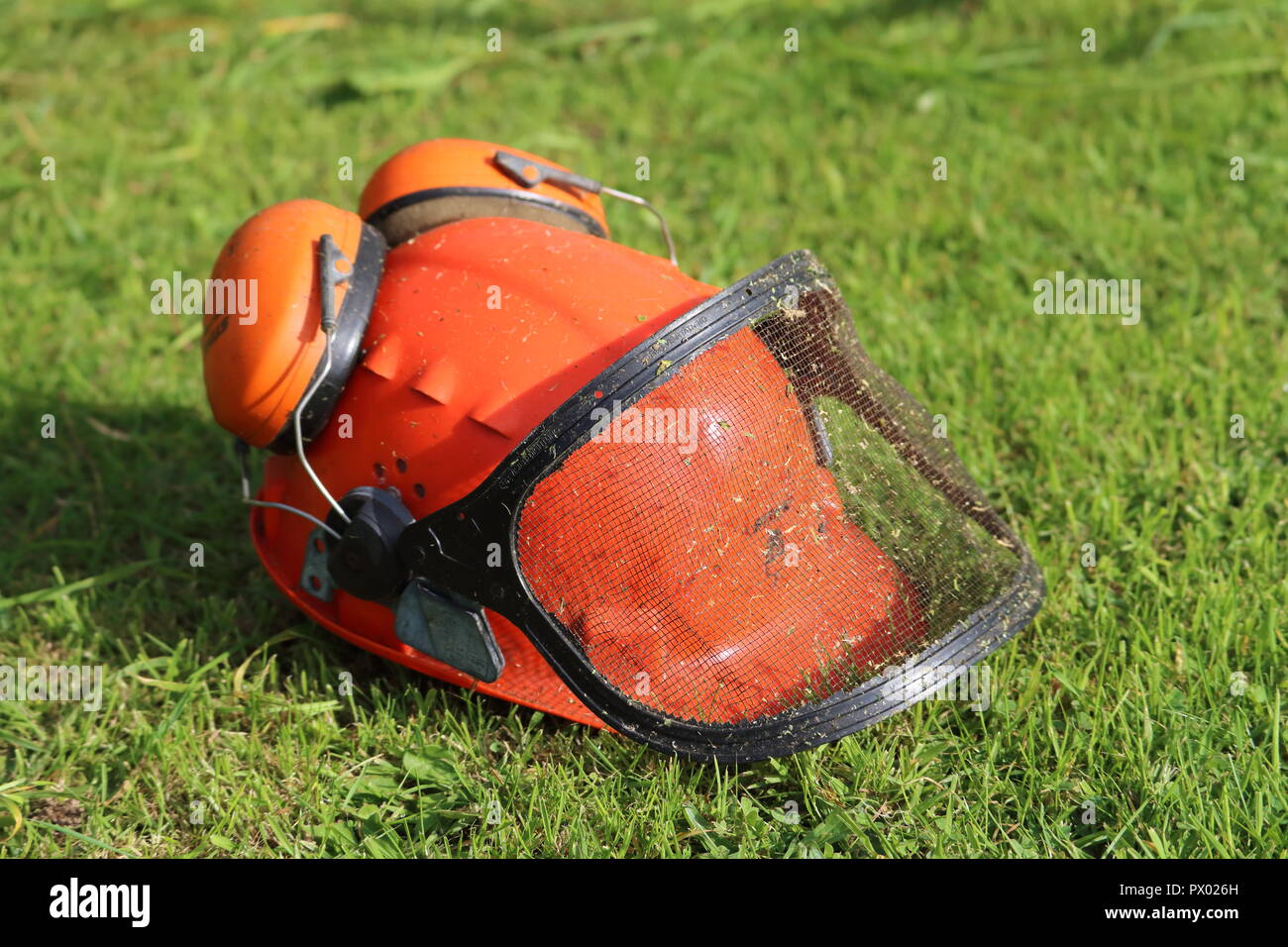 Arancione casco di sicurezza hat con cuffie antirumore, protettori, mesh visiera, erba tagliata dello sfondo. Utilizzato per strimming, giardinaggio, erba sul casco, lato destro Foto Stock