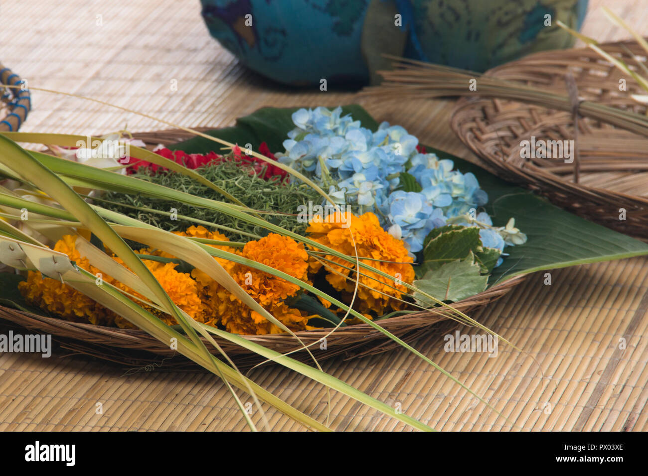 Le donne di Bali, Indonesia preparare le offerte giornaliere con cibo e fiori Foto Stock