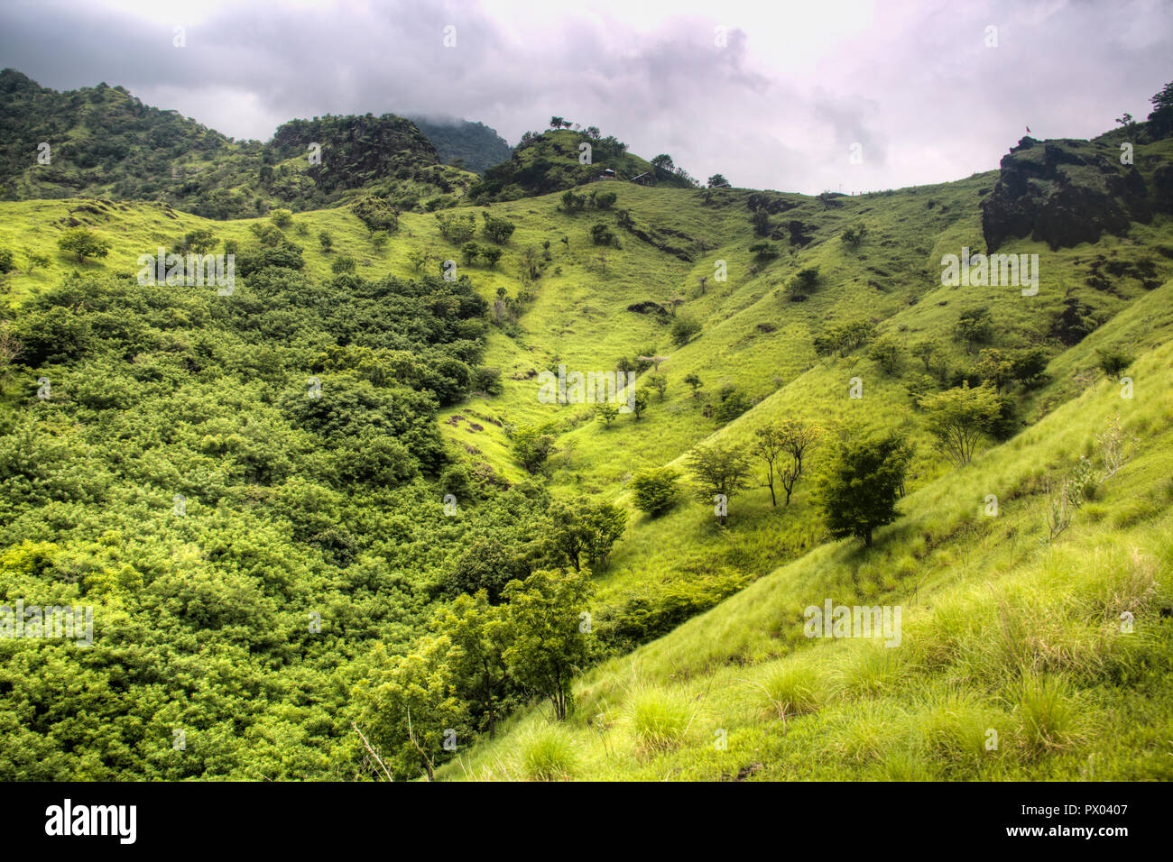 Paesaggio con colline verdi in Pemuteran a Bali, in Indonesia Foto Stock