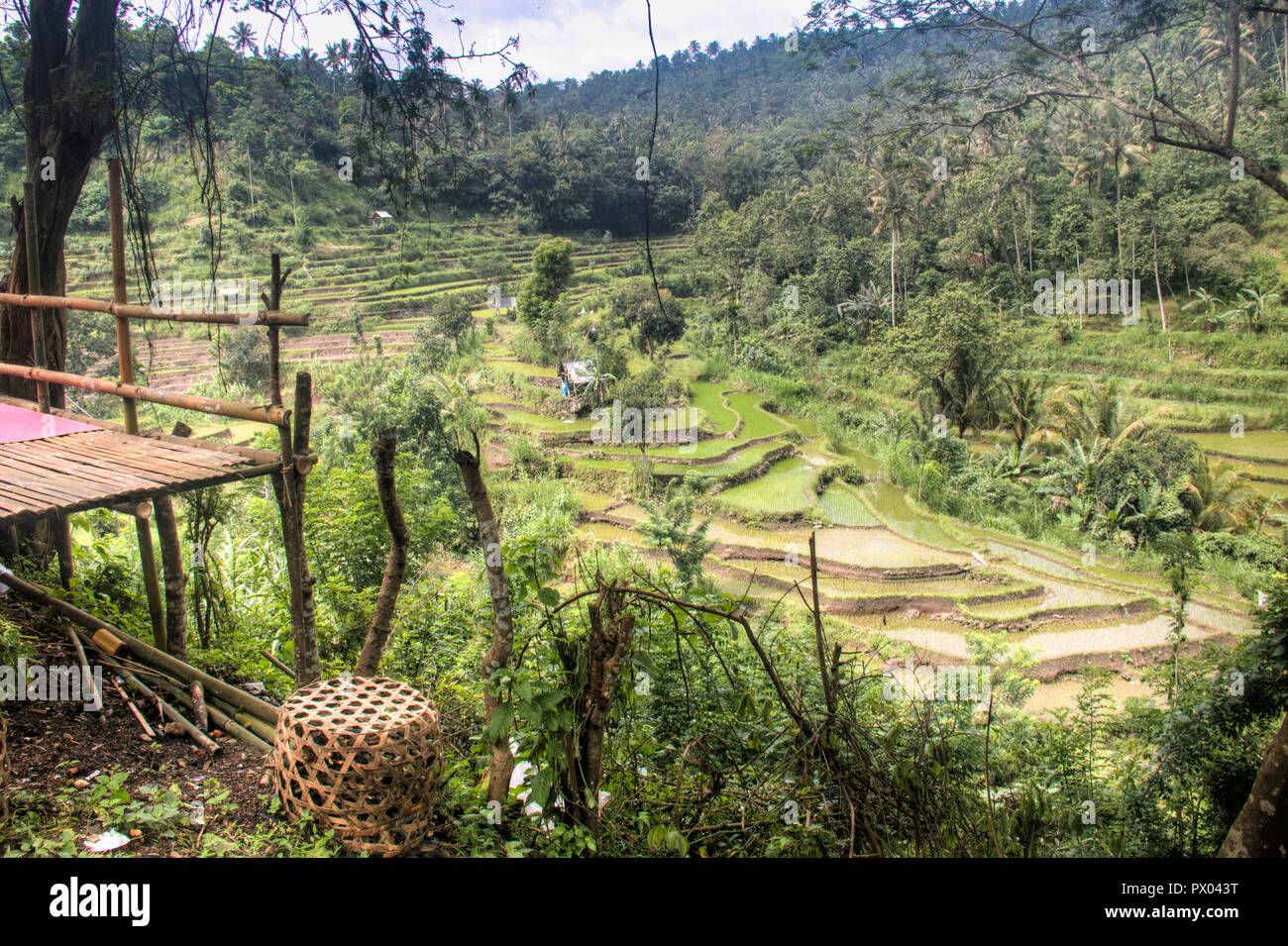 Vista sui campi di riso vicino Amed in Bali orientale, la più turistica isola di Indonesia Foto Stock