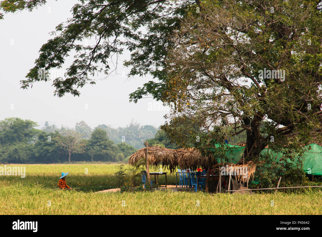 Di Hpa-an, MYANMAR - Marzo 2018: verde paesaggio con i campi e il contadino vicino Hpa-An in Myanmar Foto Stock