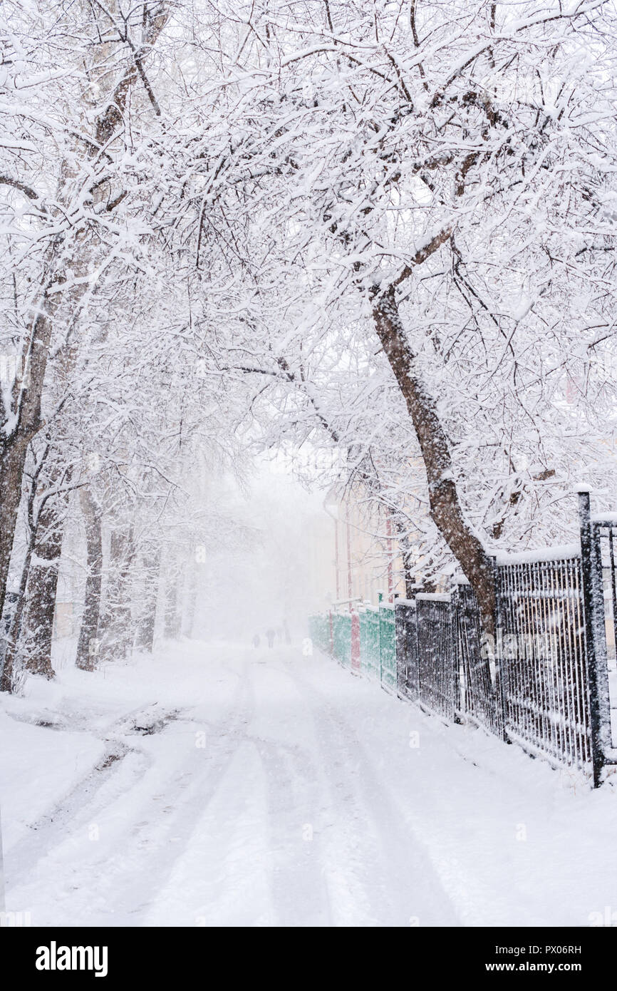 Coperte di neve e gli alberi di strada durante la abbondante nevicata nel giorno d'inverno. Foto Stock