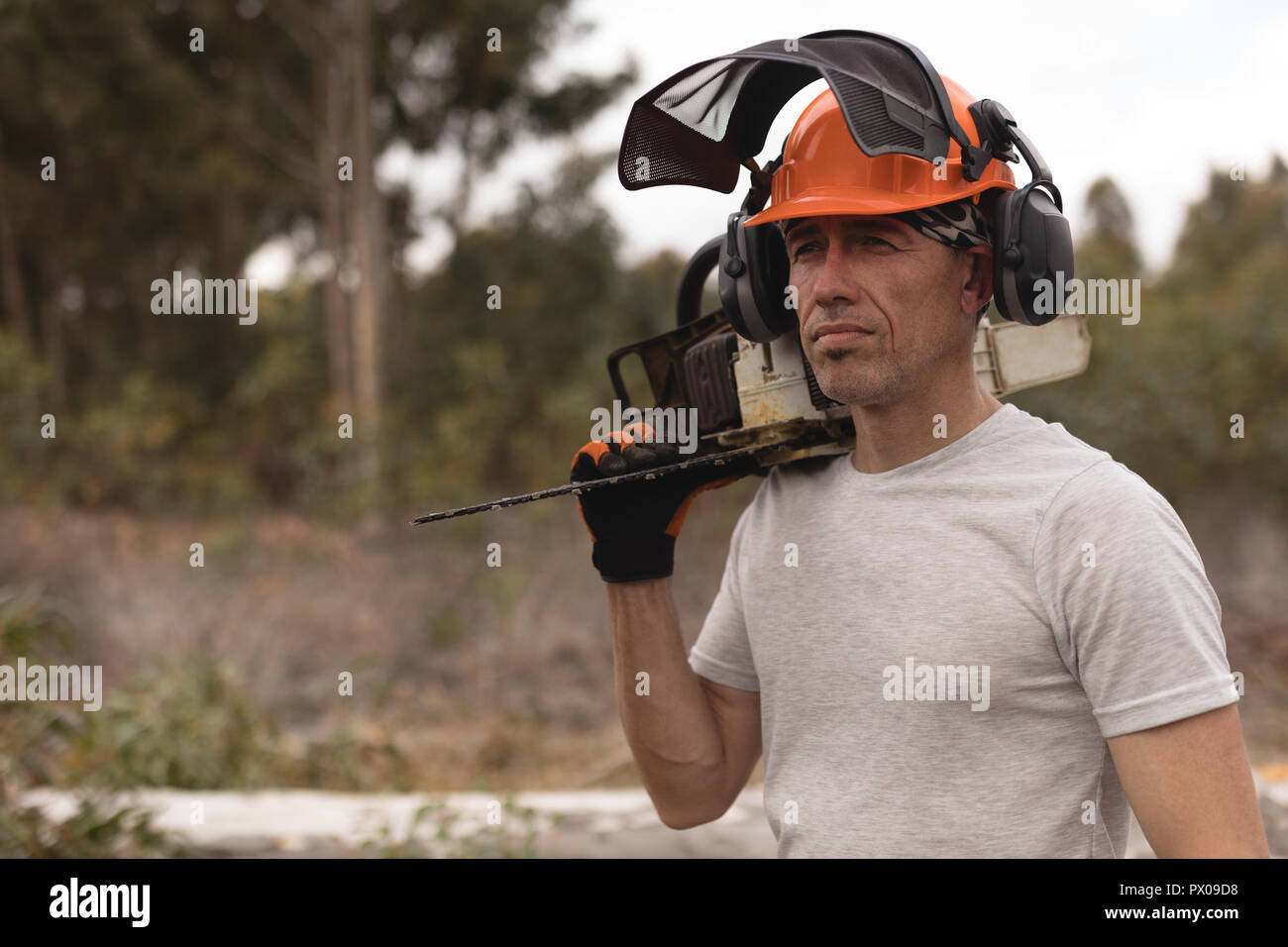 Azienda Lumberjack chainsaw nella foresta Foto Stock