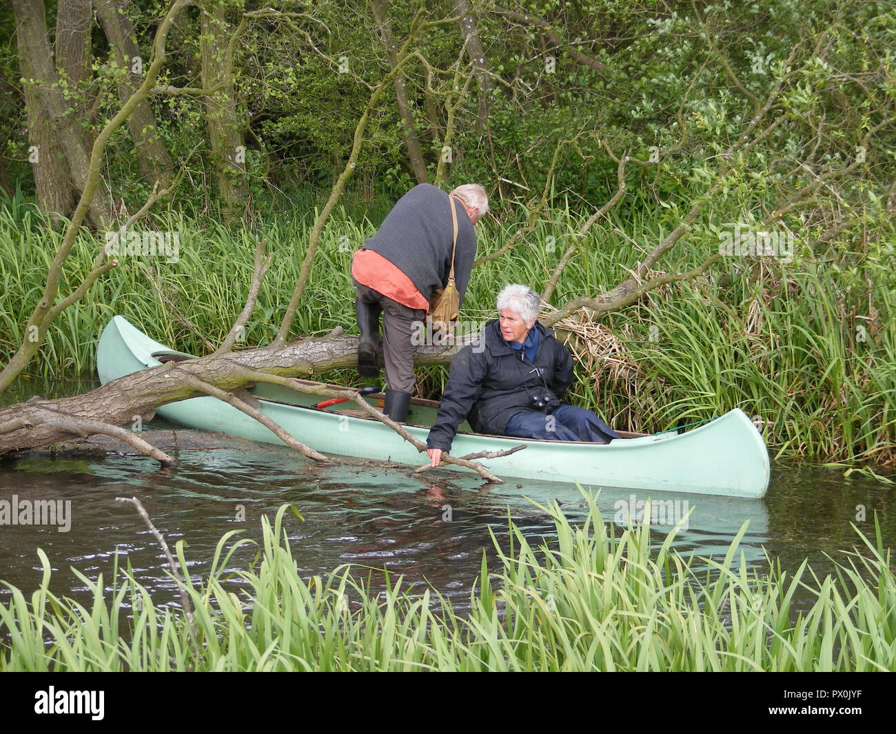 Norfolk in Inghilterra Foto Stock