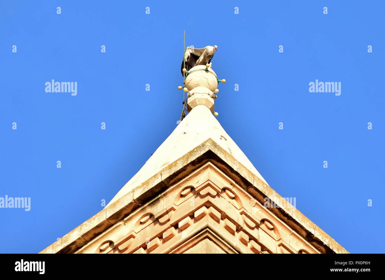 Cicogna bianca, Ciconia ciconia, migrazione oltre le isole maltesi. Grosso uccello il bilanciamento in appoggio sulla sommità di un alto chiesa cattolica torre campanaria, Birzebugga. Foto Stock