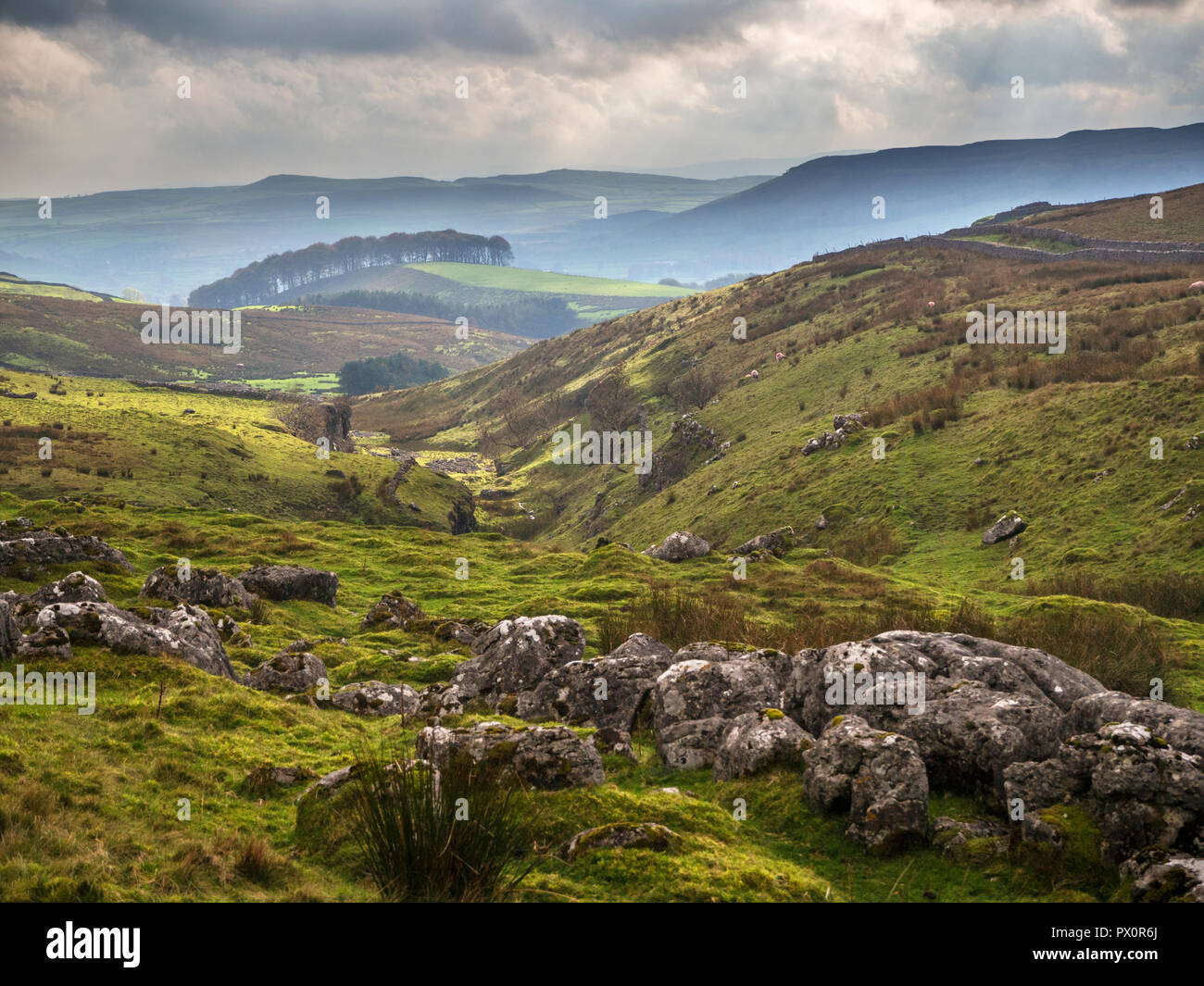 Vista lungo Ribblesdale da Horton cicatrice Lane vicino a Horton in Ribblesdale Yorkshire Dales Inghilterra Foto Stock