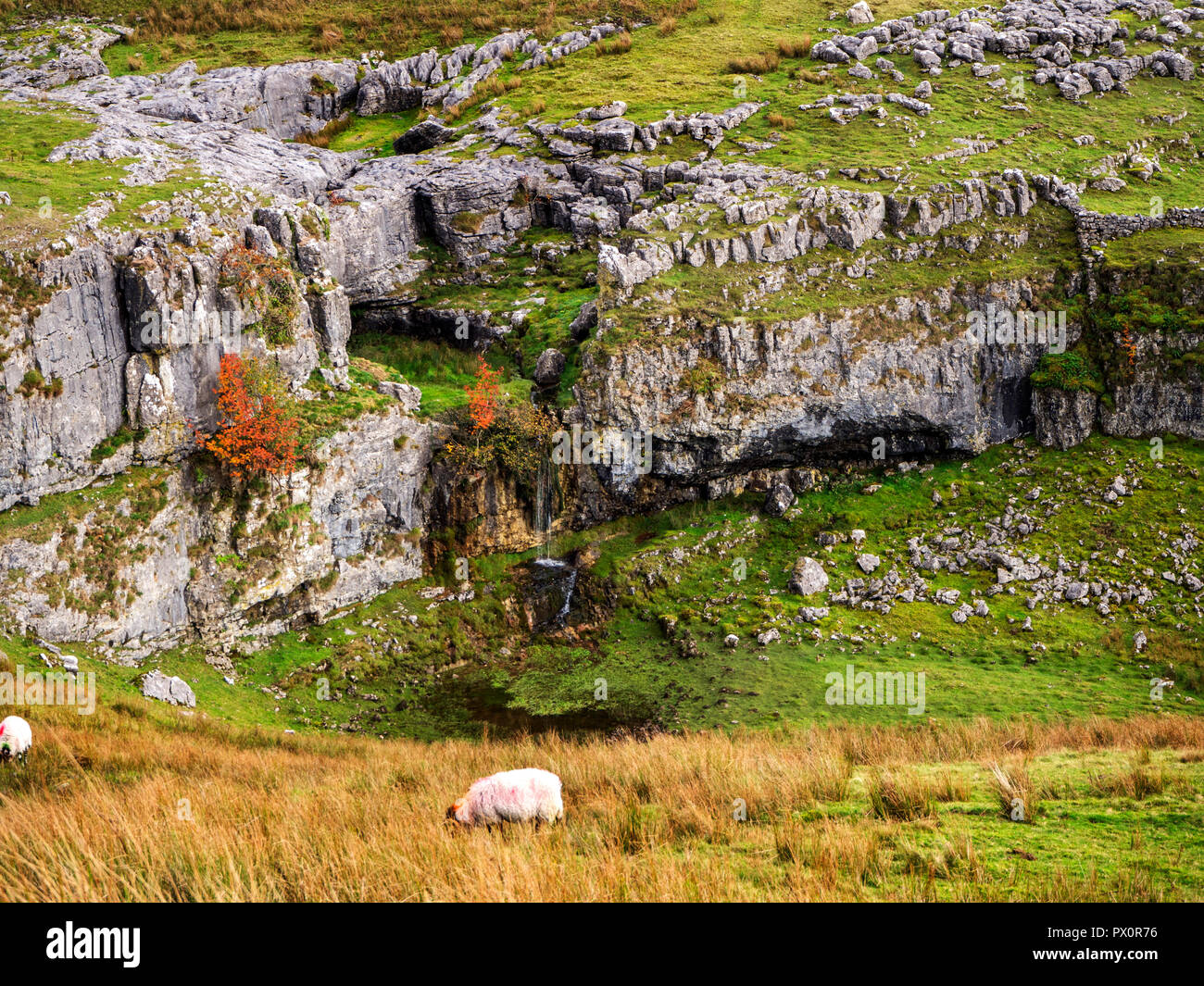 Cascata a Horton cicatrice da Horton cicatrice Lane vicino a Horton in Ribblesdale Yorkshire Dales Inghilterra Foto Stock