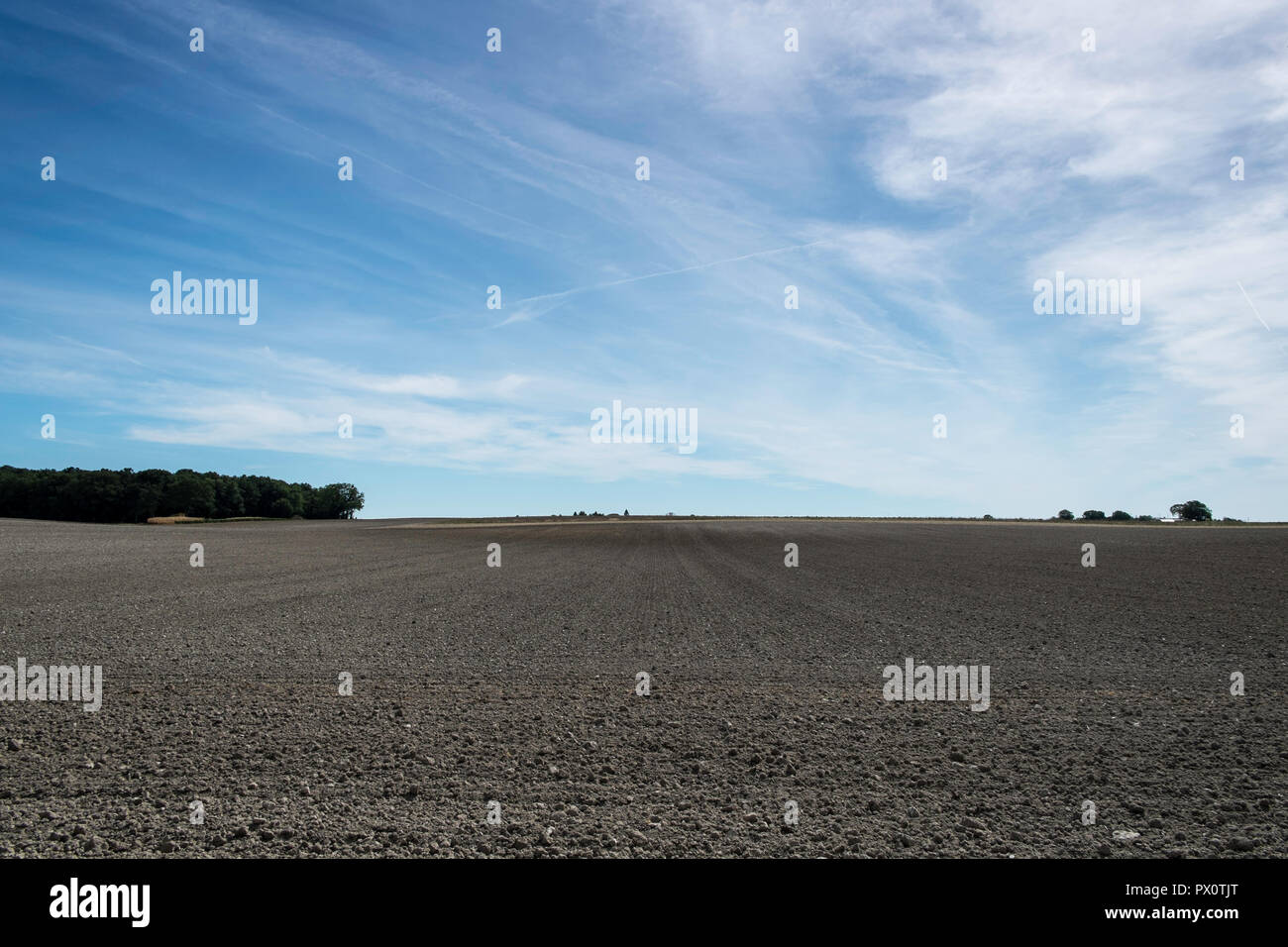 Immenso arata ed erpicò settore sembra incontrare il cielo in Valle Loiwer. Foto Stock