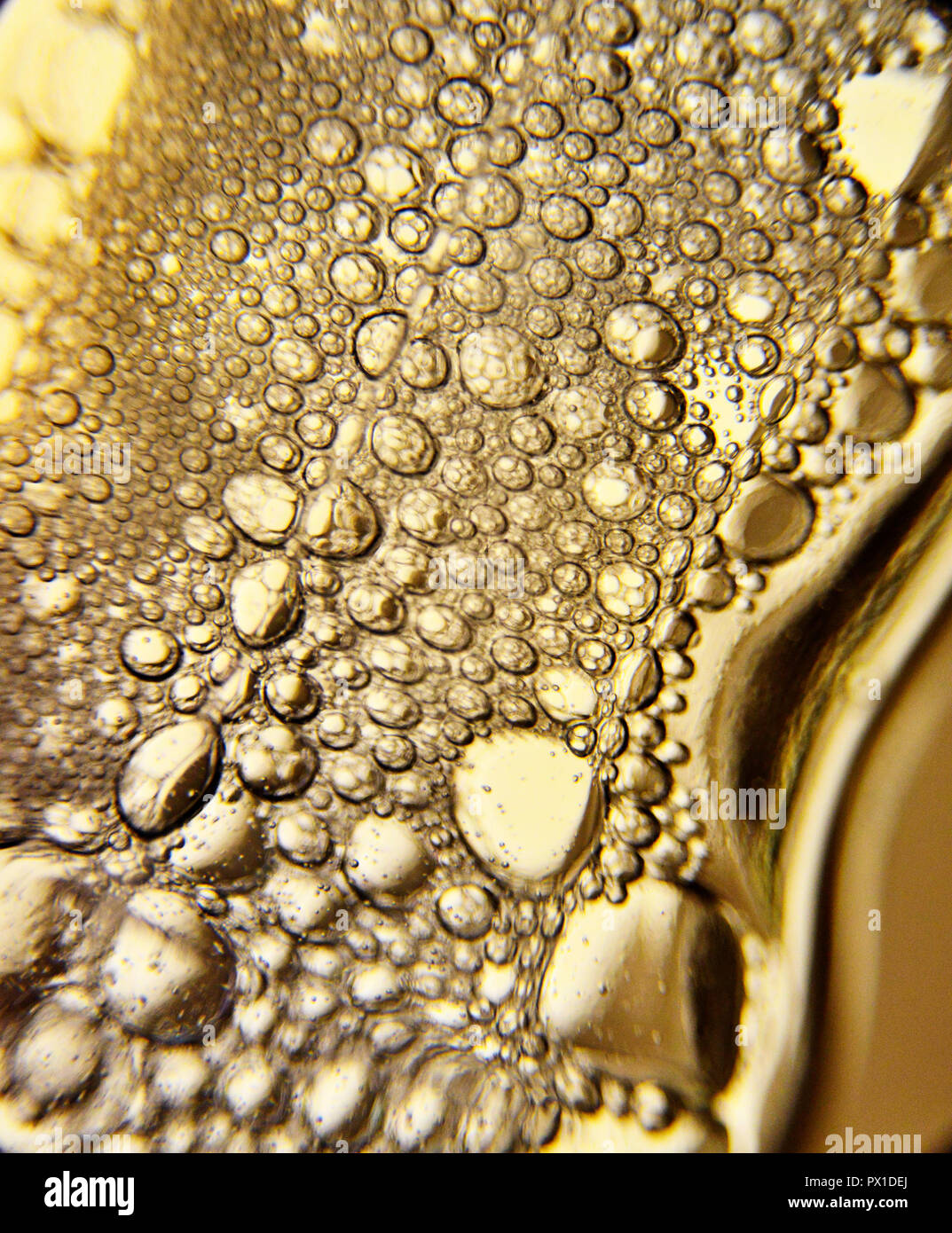 Superficie di macro, il magico mondo dell'invisibile, Macro & Abstract Progetto di fotografia Foto Stock Superficie di macro, il magico mondo dell'invisibile, Macro & Abstract Progetto di fotografia Foto Stock