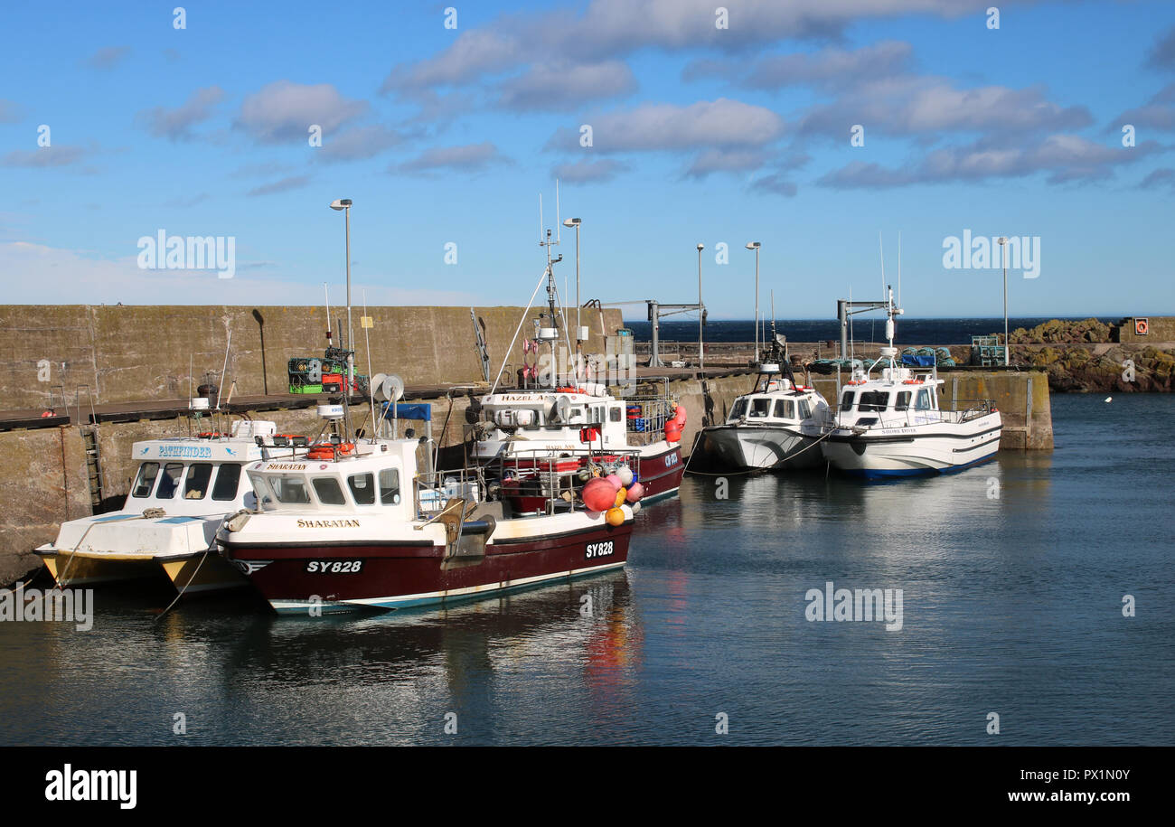 Piccole imbarcazioni in St Abbs Harbour, St Abbs, Berwickshire, regione di frontiere, Scozia Foto Stock