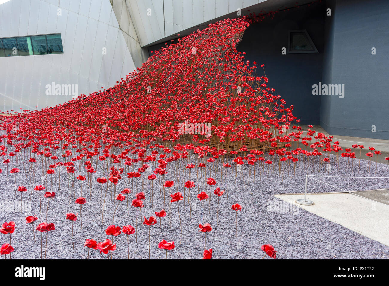 Papaveri: Onda, da Paolo Cummins e Tom Piper, presso l'Imperial War Museum North, Salford Quays, Manchester, Regno Unito Foto Stock