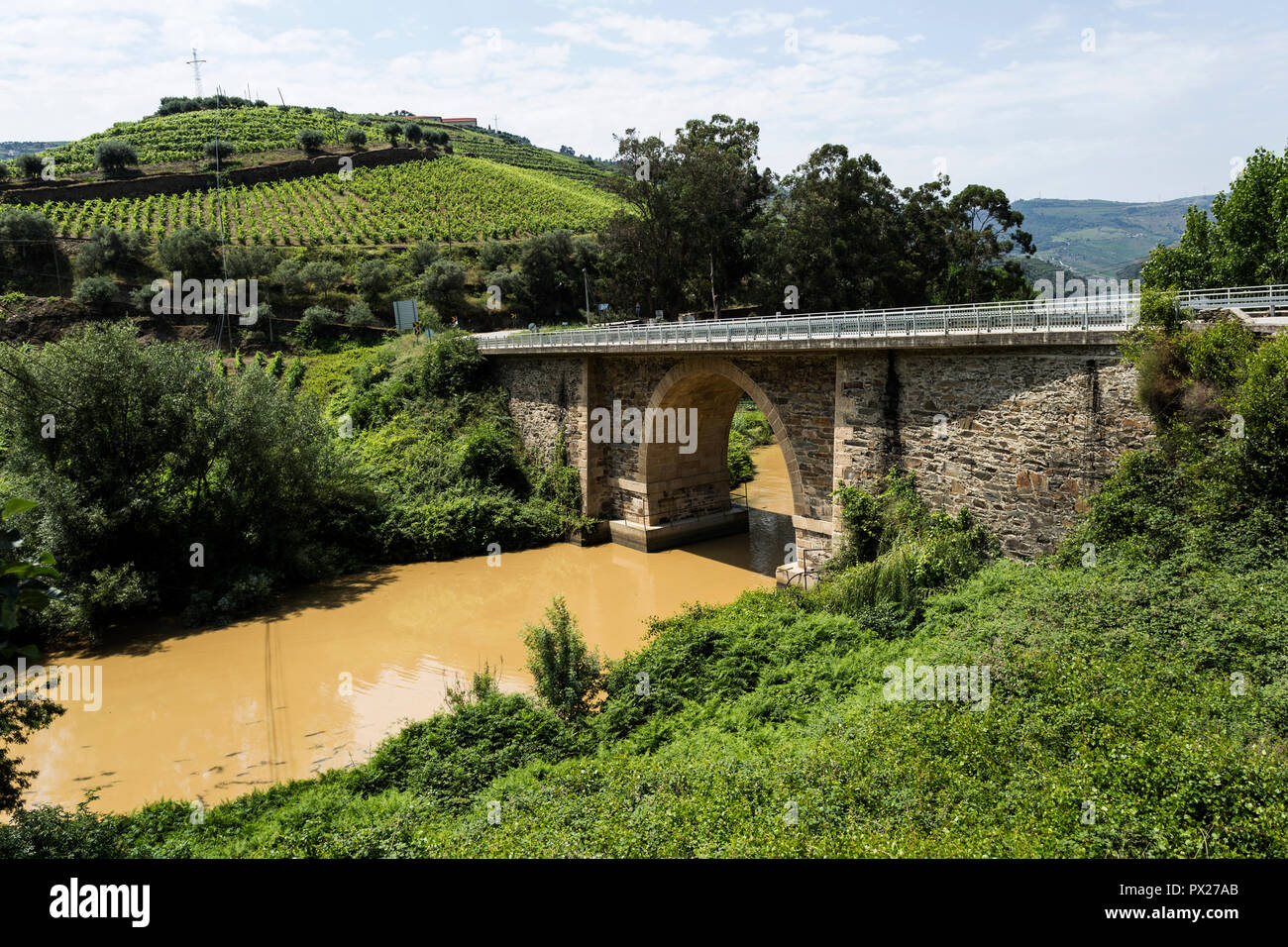Viaggiare lungo una valle stretta e strada spaventosa a arrivare al ponte vicino alla confluenza del fiume Torto e Douro per il famoso vino di Porto Reg Foto Stock