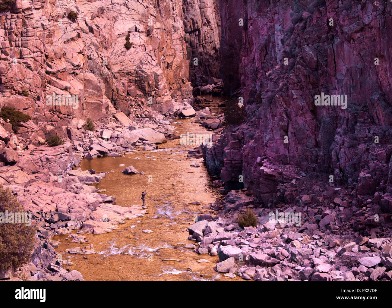 Pesca alla trota sul North Platte River in Wyoming, STATI UNITI D'AMERICA Foto Stock