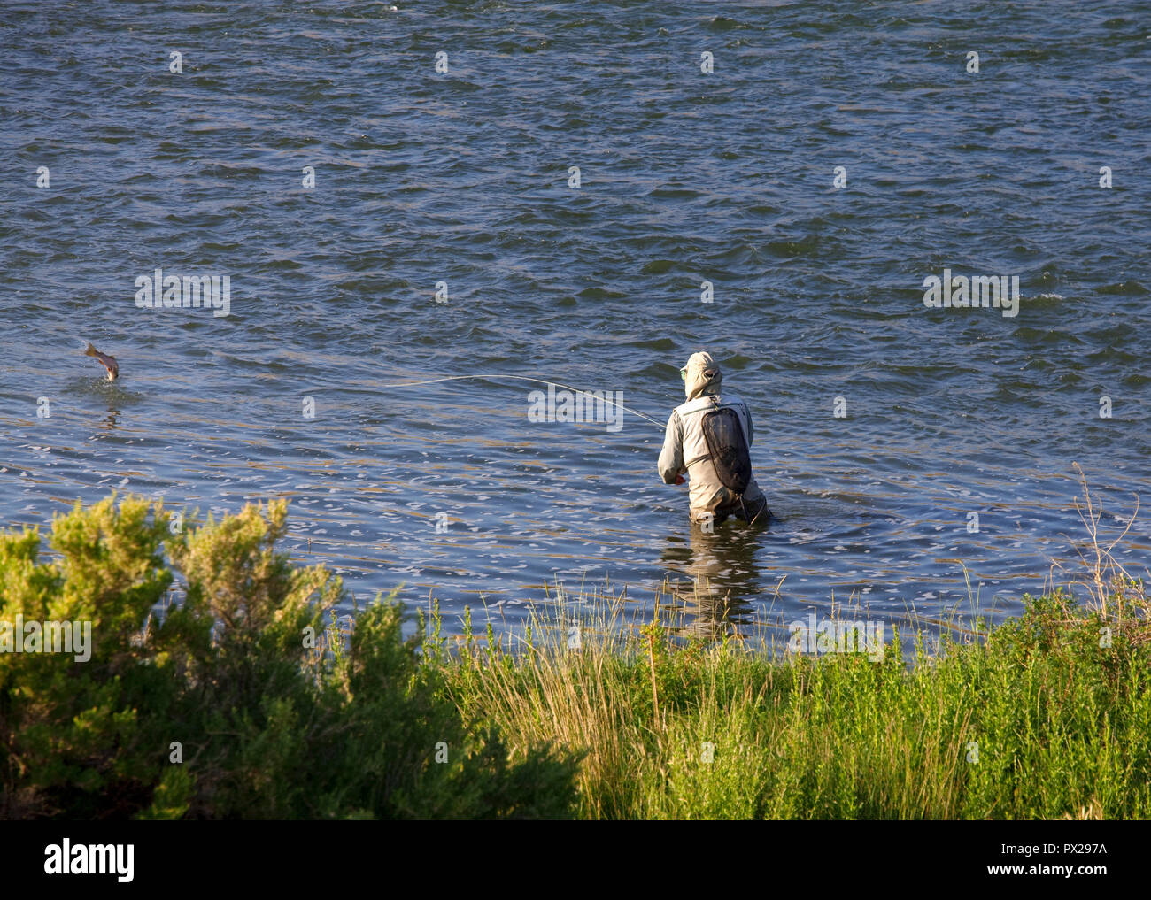 Pesca alla trota con canna da mosca e bobina Foto Stock