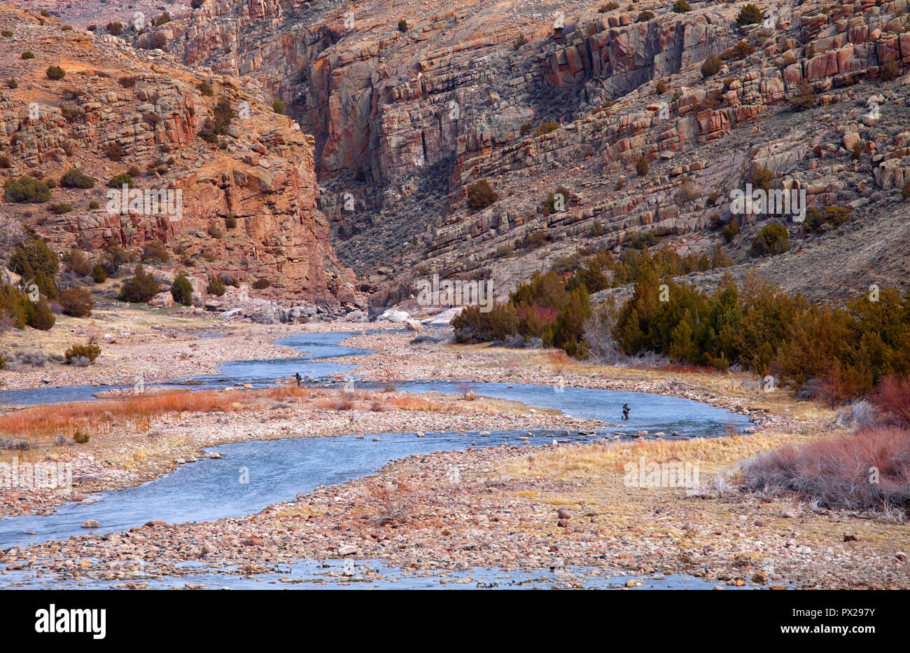 Pesca alla trota sul North Platte River in Wyoming, STATI UNITI D'AMERICA Foto Stock