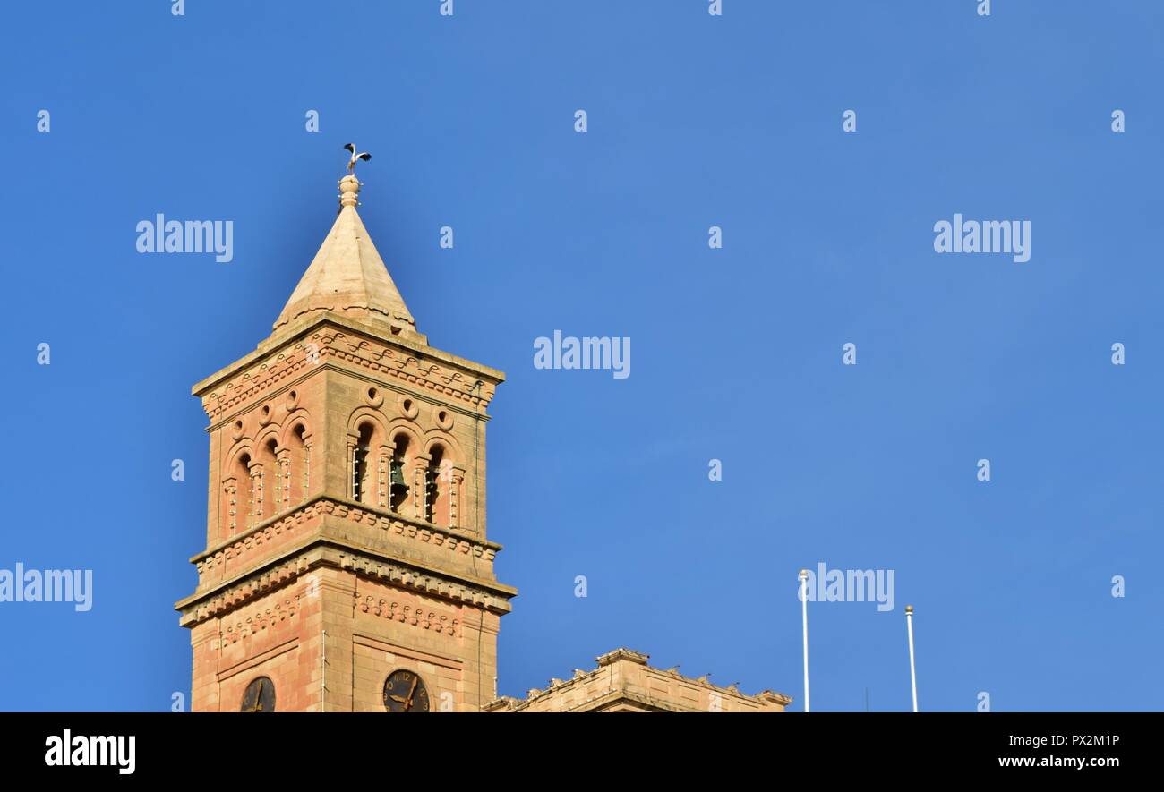 Cicogna bianca, Ciconia ciconia, migrazione oltre le isole maltesi. Grosso uccello il bilanciamento in appoggio sulla sommità di un alto chiesa cattolica torre campanaria, Birzebugga. Foto Stock