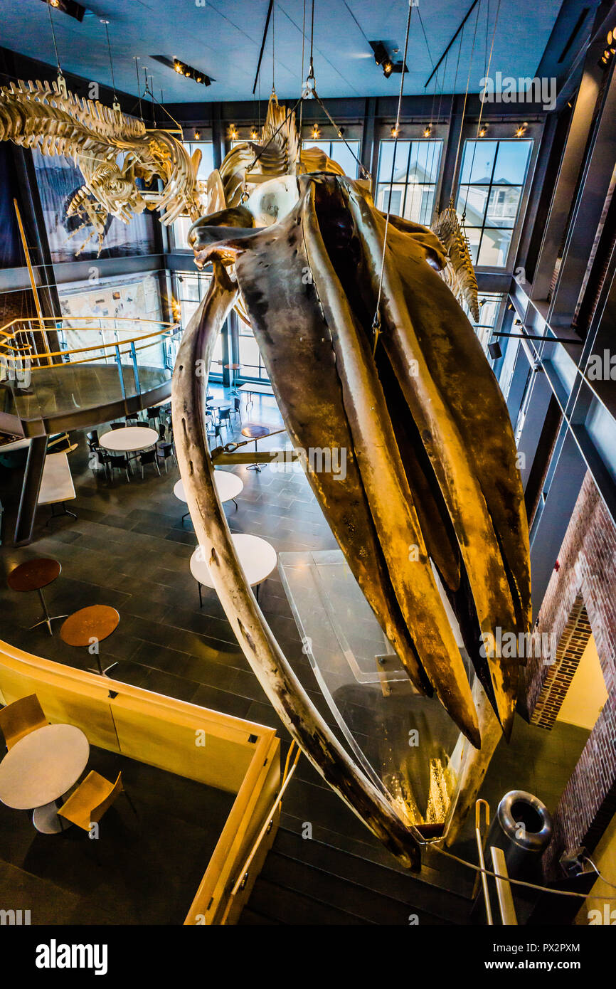 New Bedford Whaling Museum   New Bedford, Massachusetts, STATI UNITI D'AMERICA Foto Stock