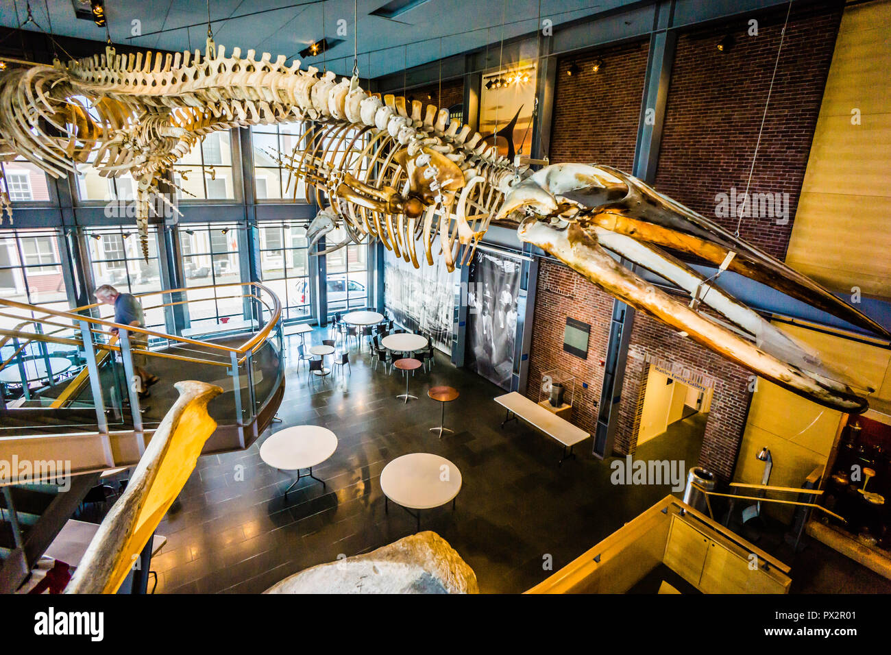 New Bedford Whaling Museum   New Bedford, Massachusetts, STATI UNITI D'AMERICA Foto Stock