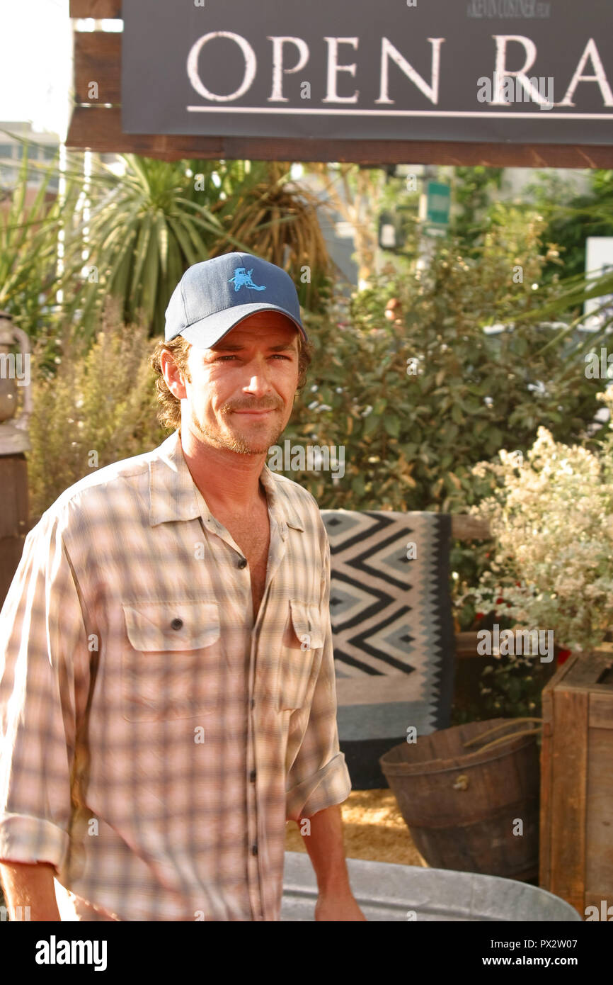 Luke Perry 08/11/03 GAMMA OPEN premiere @ Glossari Affini Dome Theater,Arclight cinema,Hollywood Foto di Kazumi Nakamoto/HNW / PictureLux Agosto 11, 2003 Riferimento File # 33686 777HNWPLX Foto Stock