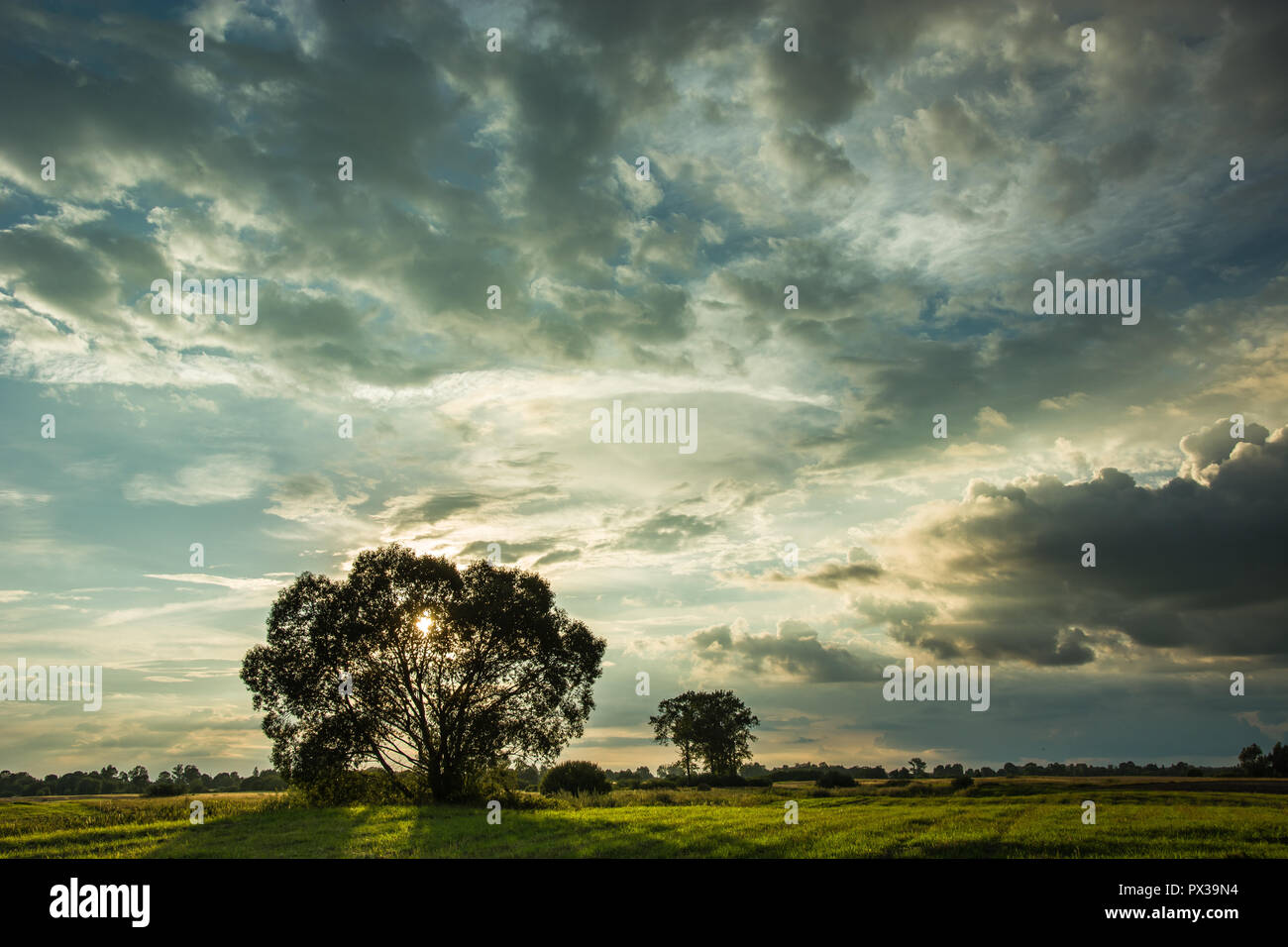 Dynamic nuvole nel cielo e il sole che tramonta dietro gli alberi nel prato Foto Stock