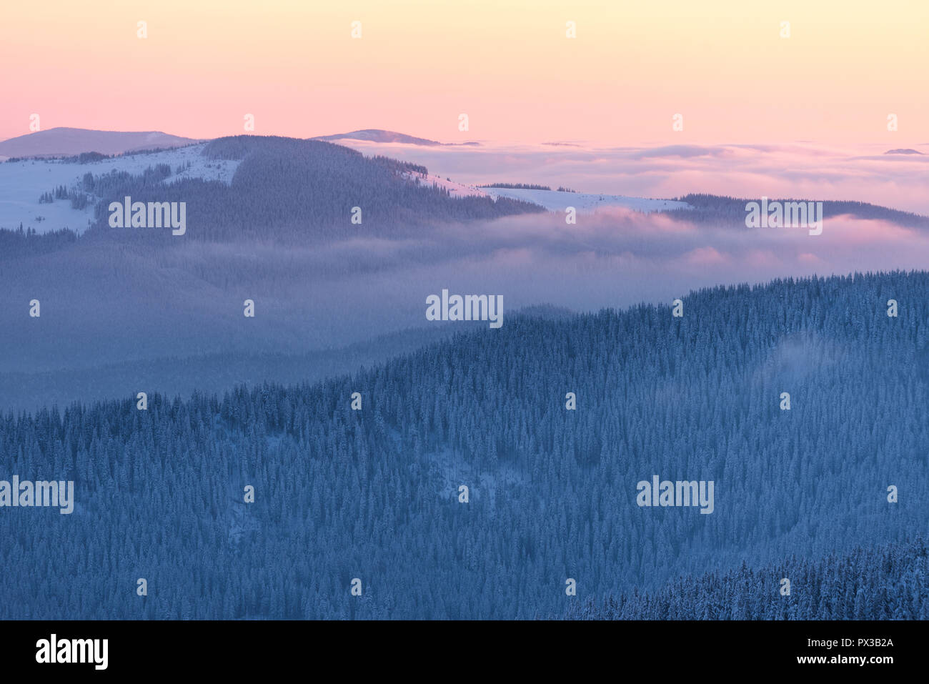 Alba in montagna. Paesaggio invernale con boschi innevati su pendii. Dolce luce mattutina Foto Stock