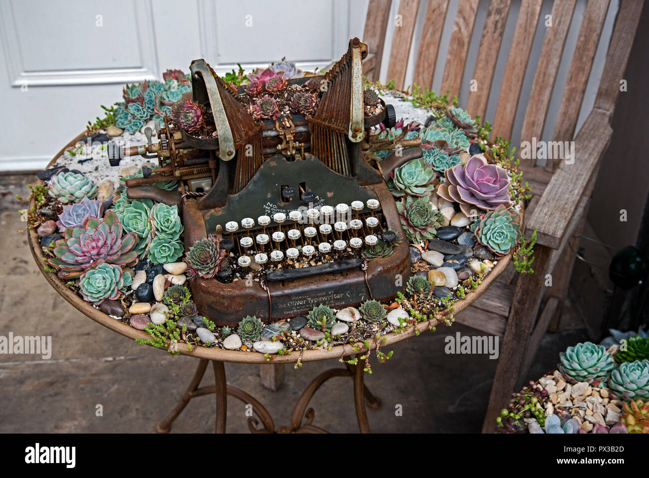 Un nuovo display di succulente su una porta nella zona nuova di Edinburgo. Foto Stock