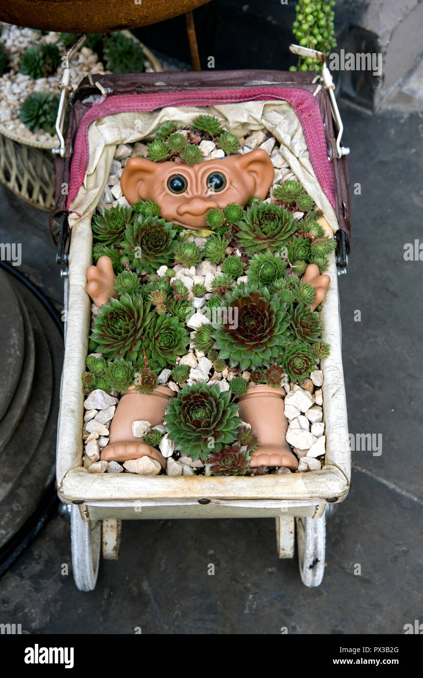 Un nuovo display di succulente su una porta nella zona nuova di Edinburgo. Foto Stock