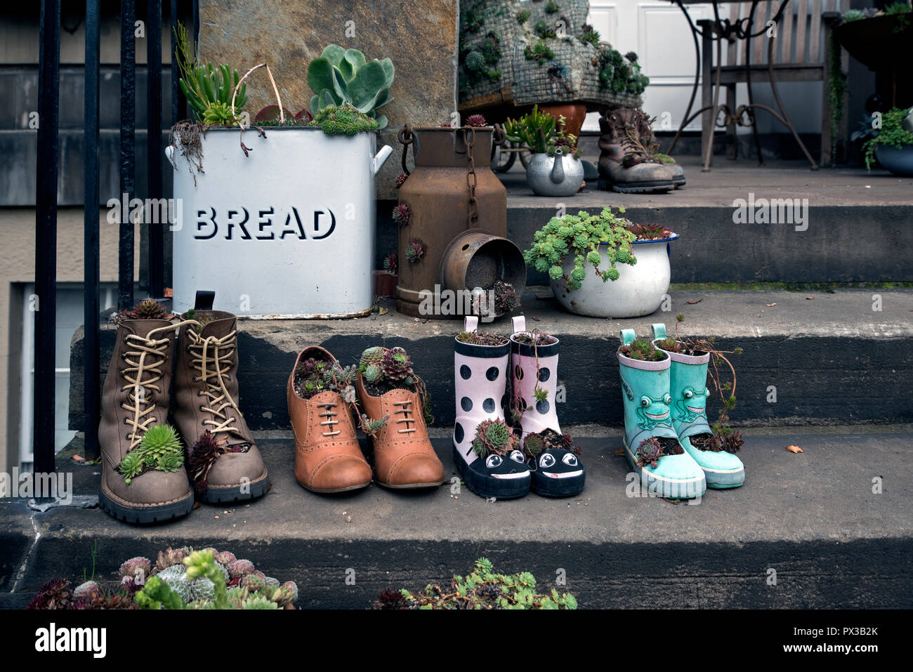 Un nuovo display di succulente su una porta nella zona nuova di Edinburgo. Foto Stock