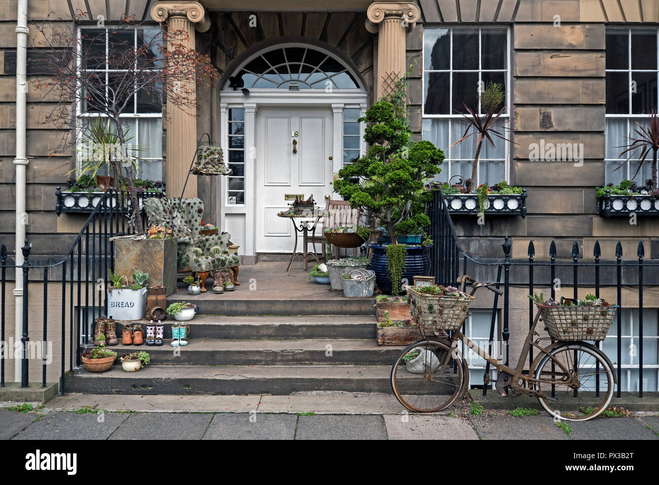 Un nuovo display di succulente su una porta nella zona nuova di Edinburgo. Foto Stock