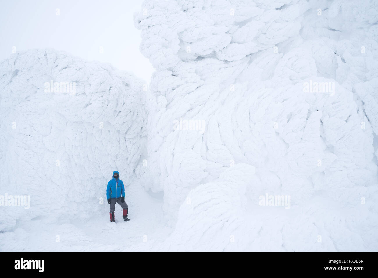 Rime e firn sulle rocce della montagna. Forte escursione invernale. Paesaggio con neve e nebbia Foto Stock