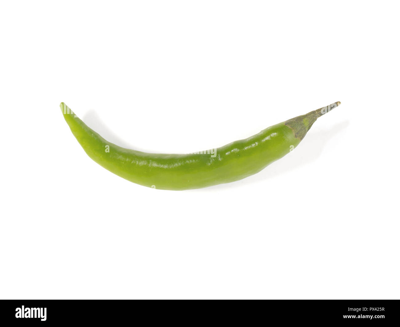 Un piccolo peperoncino verde pepe su sfondo bianco Foto Stock