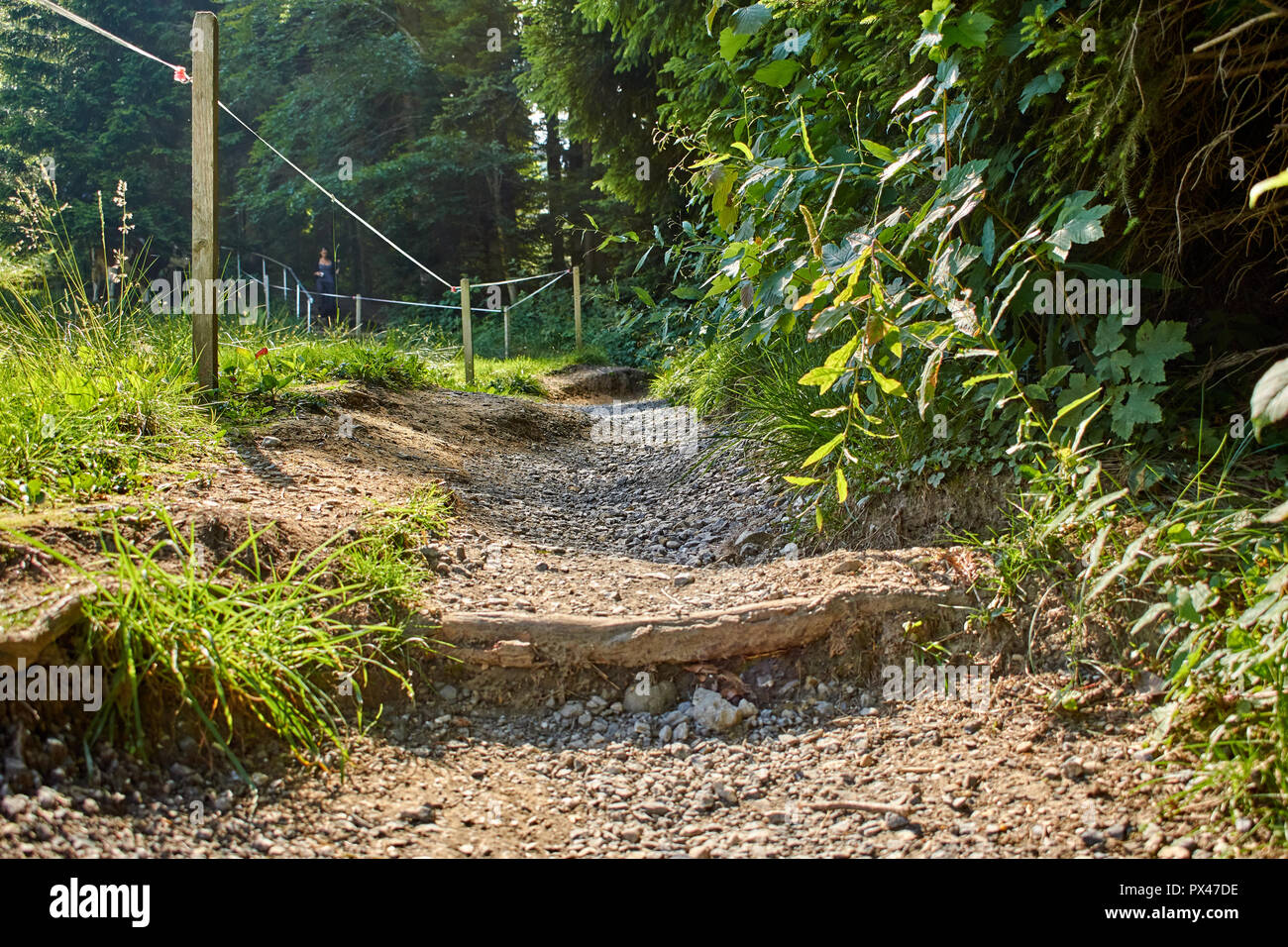 Sentiero escursionistico con le donne e il cane in background Foto Stock