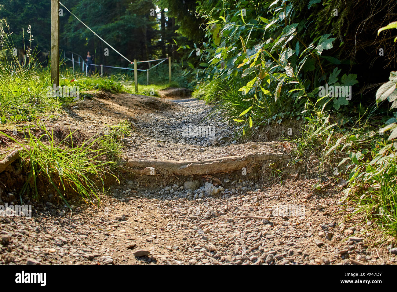 Sentiero escursionistico con le donne e il cane in background Foto Stock