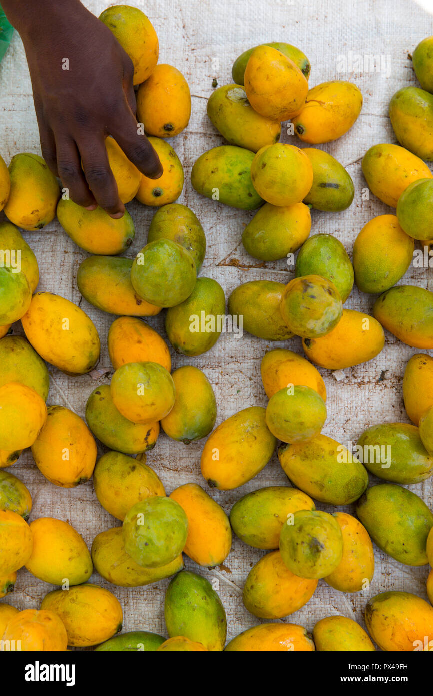 Manghi venduti in Dapaong, Togo. Foto Stock