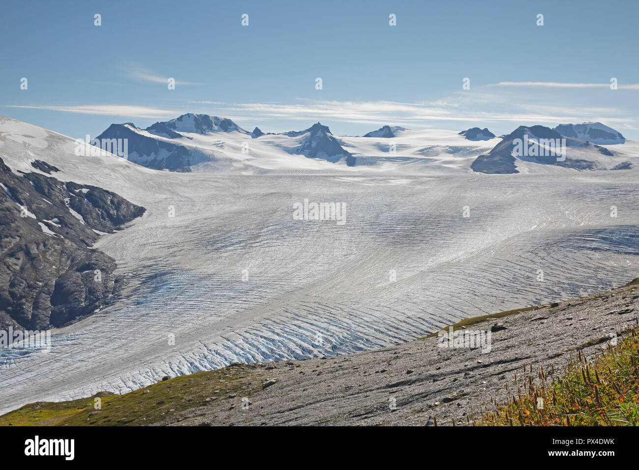 Vista del Harding Campo di ghiaccio dal sentiero Seward Alaska Foto Stock