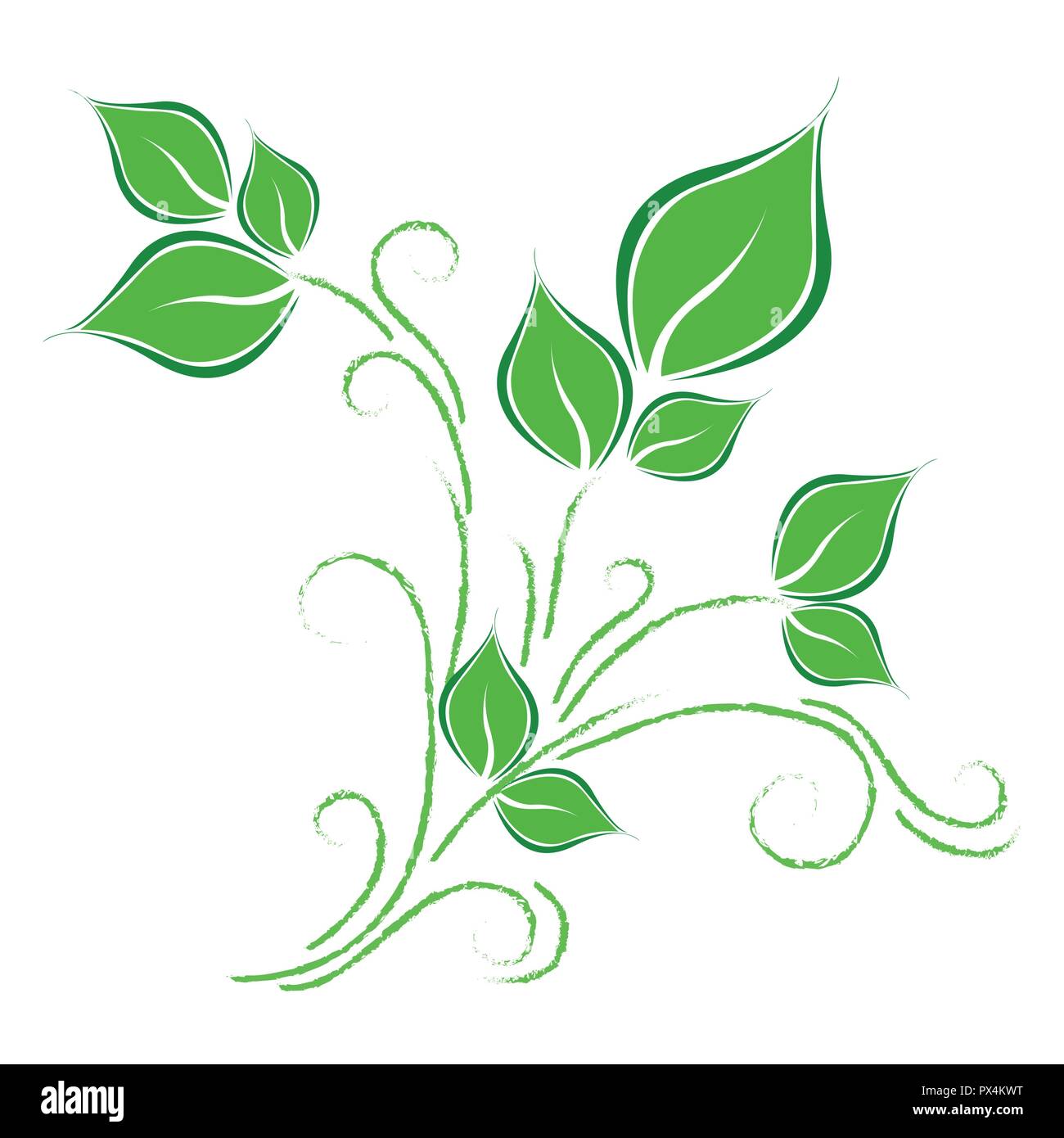 Foglie verdi viticcio su sfondo bianco illustrazione vettoriale EPS10 Illustrazione Vettoriale