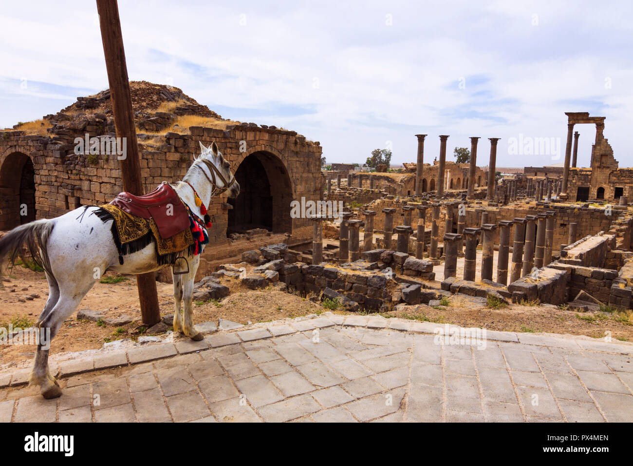 Bosra, Siria : un cavallo vi aspetta per i turisti presso le rovine della vecchia città romana di Nova Trajana Bostra. Foto Stock