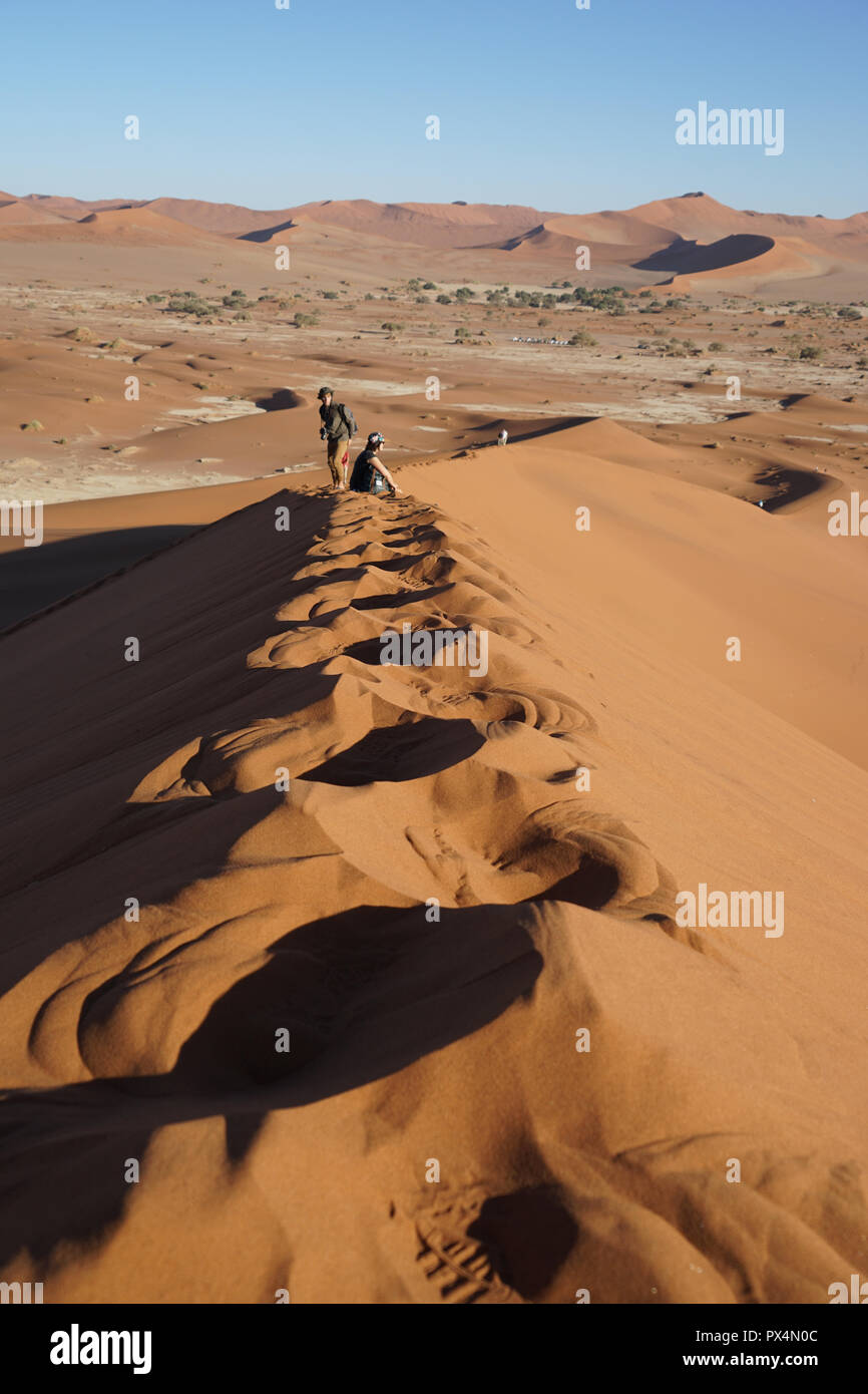 Sossusvlei, Namibia, Afrika Foto Stock