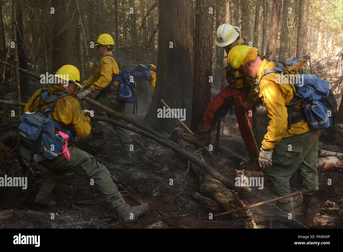 Avieri del Washington Air National Guard, indossando giallo ingranaggio di sicurezza blu e zaini, ricerca di brace rimanente in una zona boschiva durante il combattimento con le pecore Creek Fire, situato nella pecora area torrente Northport vicino, Washington, Stati Uniti d'America, Immagine cortesia sergente tecnico Timothy Chacon e le forze congiunte sede, Washington Guardia Nazionale, 6 agosto 2018. () Foto Stock