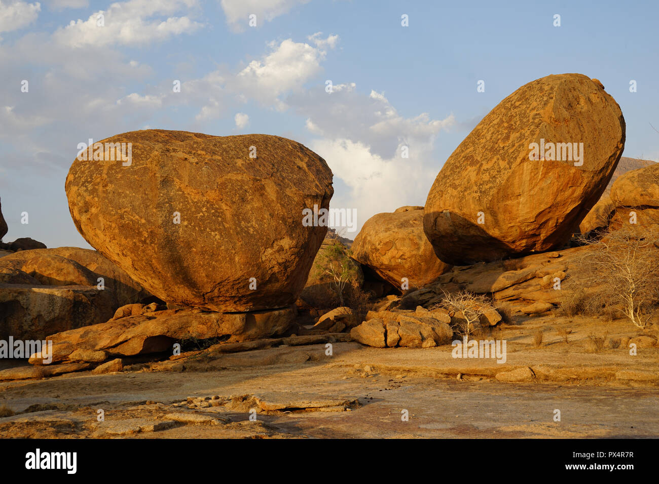 Felsböcke, Wollsackverwitterung, Bull di partito, Ameib Farm, Erongo Gebirge, Namibia, Afrika Foto Stock