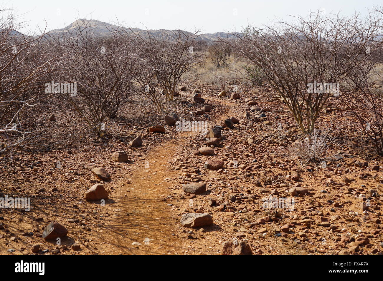 Weg zu Grotta Phillips, Ameib Farm, Erongogebirge, Namibia, Afrika Foto Stock