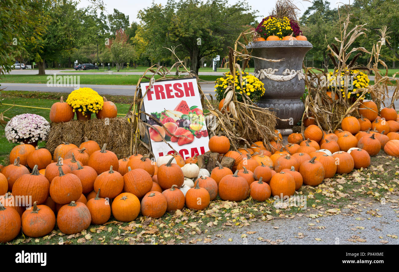 Display di autunno di zucche in una fattoria stand in Niagara Peninsula, Ontario, Canada. Foto Stock
