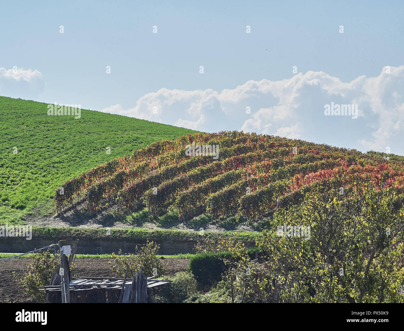 Vista del paesaggio delle Langhe, un countryisde in Pedmont molto popolare a causa dei buoni vini e cibo Foto Stock